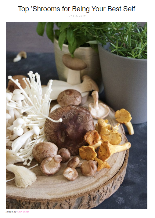Top 'Shrooms for Being Your Best Self article screenshot